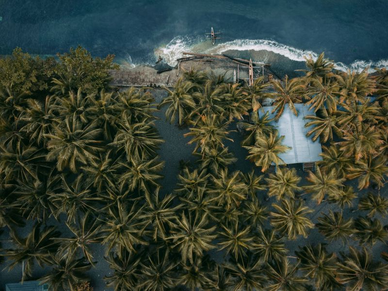 a drone view of a beach with trees