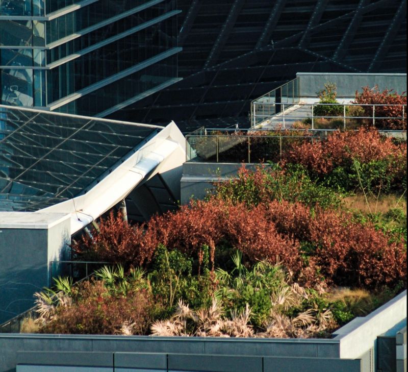 a roof garden with a solar panel on the roof