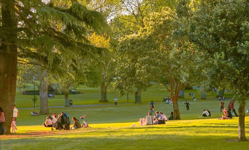 People sitting in a green park with trees