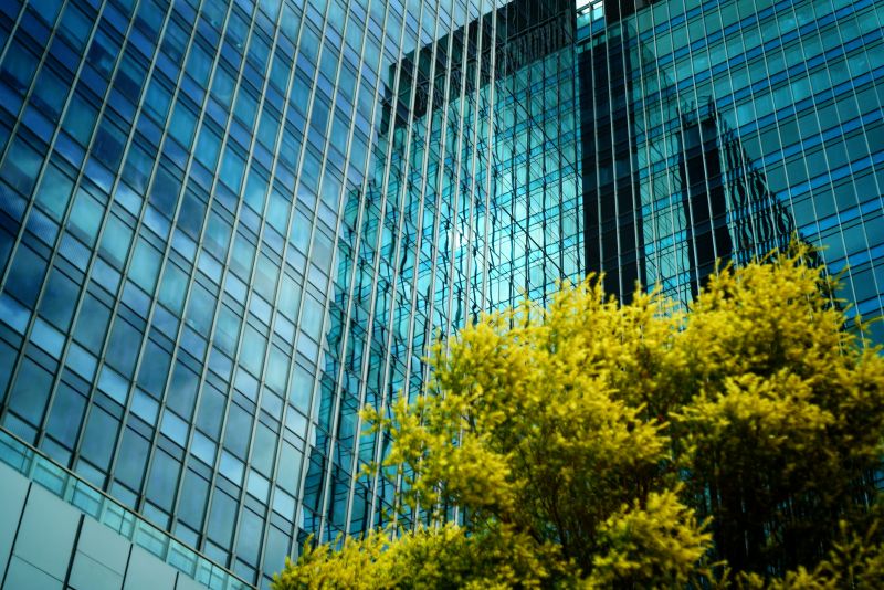 a side view of skyscraper windows and a small green tree next to it