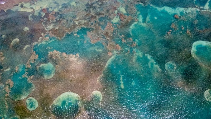 a drone shot of a reef