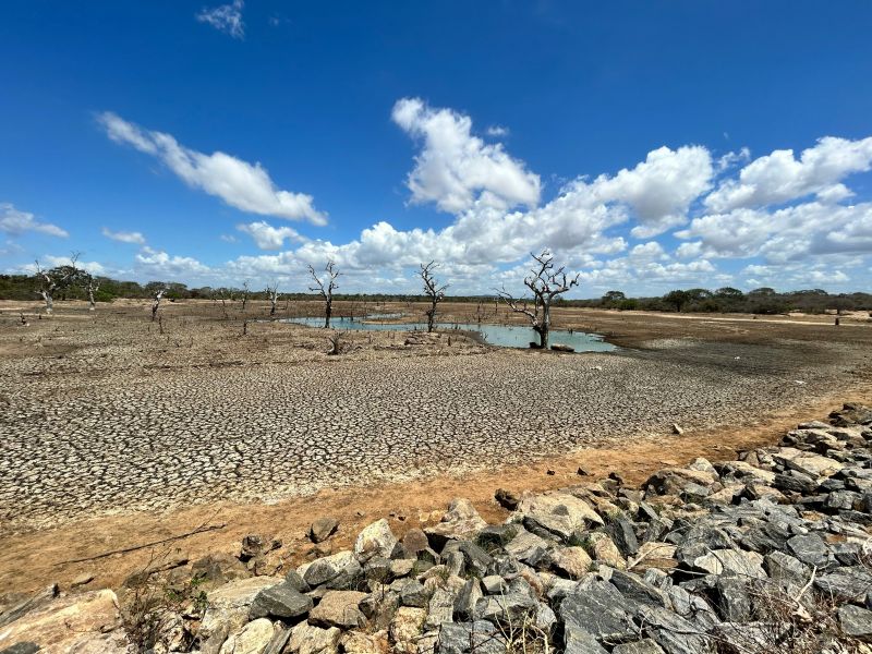 dry arid land