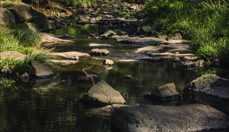 Image of creek with rocks in it with surrounding green trees